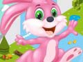 Игра Bunny Run