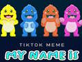 Игра TikTok Meme My Name Is