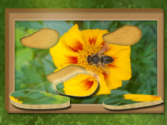 Игра Find & Restore: Hidden Puzzle