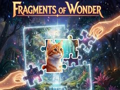Игра Fragments of Wonder