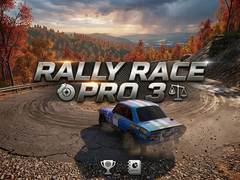 Игра Rally Race Pro 3