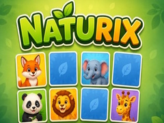 Игра Naturix