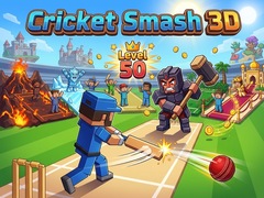 Игра Cricket Smash 3D