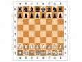 Играње шаха. Плаи онлине шах без регистрације